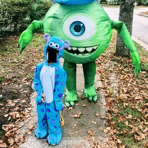 Sully Monsters Inc Toddler Costume